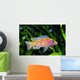 African Malawi Cichlid Wall Decal