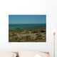Goats near Caspian Sea Wall Decal