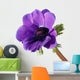 Purple anemone flower Wall Decal