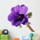 Purple anemone flower Wall Decal