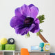 Purple anemone flower Wall Decal