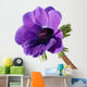 Purple anemone flower Wall Decal