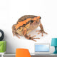 Bullfrog Wall Decal