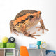 Bullfrog Wall Decal