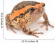 Bullfrog Wall Decal