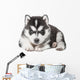 Puppy Portrait - Husky Wall Decal
