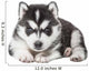 Puppy Portrait - Husky Wall Decal