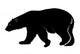 polar bear on a white background Wall Decal