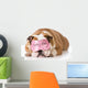 Beautyrest Dog Sleeping Wall Decal