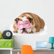 Beautyrest Dog Sleeping Wall Decal