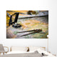 Map and Compass Wall Decal