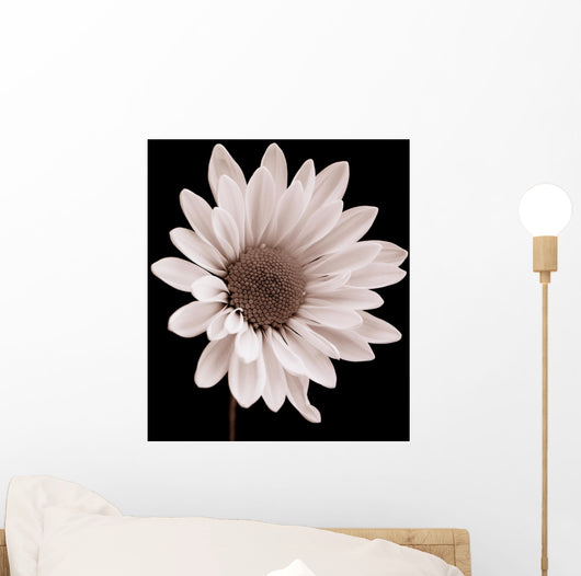 Daisy Wall Mural
