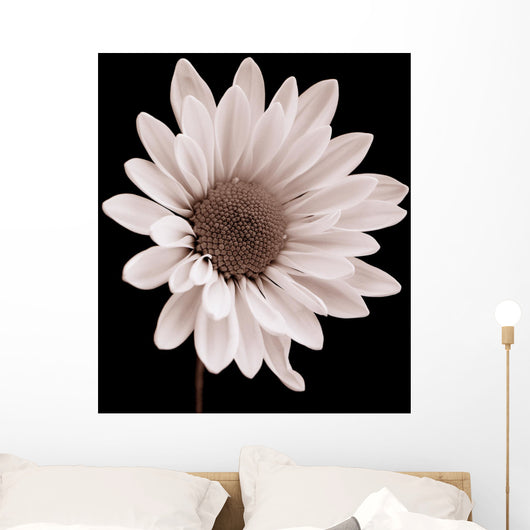 Daisy Wall Mural