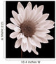 Daisy Wall Mural