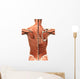 Muscular Anatomy of the Back Wall Decal