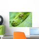 Green Tree Python Wall Decal