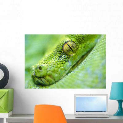 Green Tree Python Wall Decal shown on a wall