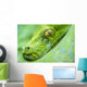 Green Tree Python Wall Decal