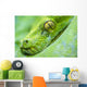 Green Tree Python Wall Decal