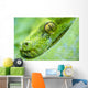 Green Tree Python Wall Decal