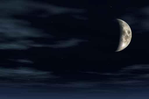 Moonlight Wall Decal