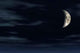 Moonlight Wall Decal