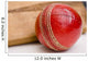 Cricket ball and bat Wall Mural