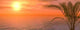 Traditional Sunset Wall Decal