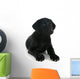 Puppy Labrador Retriever Wall Decal
