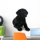 Puppy Labrador Retriever Wall Decal