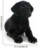 Puppy Labrador Retriever Wall Decal
