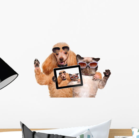 Cool Dog with Cat Taking a Selfie with Sunglasses Wall Decal