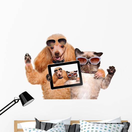 Cool Dog with Cat Taking a Selfie with Sunglasses Wall Decal