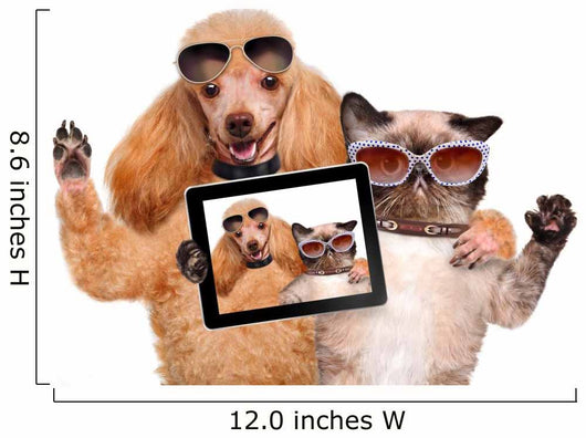 Cool Dog with Cat Taking a Selfie with Sunglasses Wall Decal