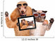 Cool Dog with Cat Taking a Selfie with Sunglasses Wall Decal