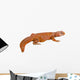 Lizard (uromastyx) Wall Decal