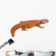 Lizard (uromastyx) Wall Decal