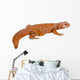 Lizard (uromastyx) Wall Decal