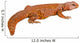 Lizard (uromastyx) Wall Decal