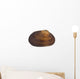 Isolated Macro Image of a Sea Shell. Wall Decal