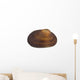 Isolated Macro Image of a Sea Shell. Wall Decal