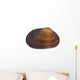 Isolated Macro Image of a Sea Shell. Wall Decal