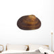 Isolated Macro Image of a Sea Shell. Wall Decal