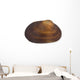 Isolated Macro Image of a Sea Shell. Wall Decal