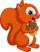 Cute squirrel cartoon Wall Decal