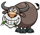 Vector illustration of Cartoon Buffalo Wall Decal