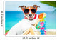 Dog Summer Vacation