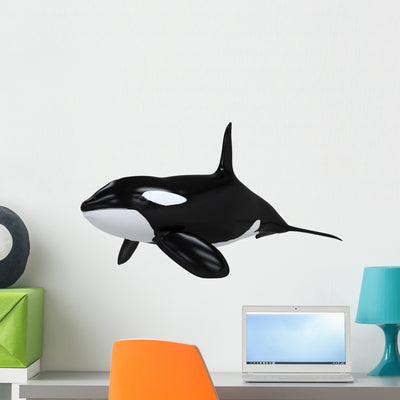 Killer Whale shown on a wall
