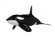 Killer Whale