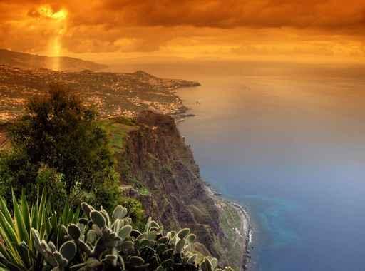 Madeira Wall Decal